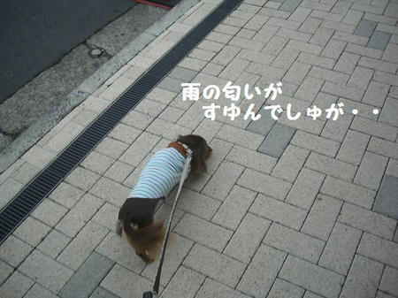 CIMG0331.JPG