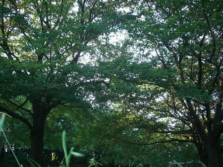 c927583d.JPG