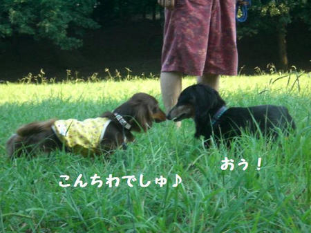 CIMG0528.JPG