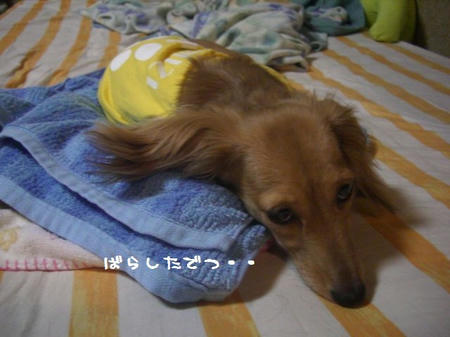 CIMG0579.JPG