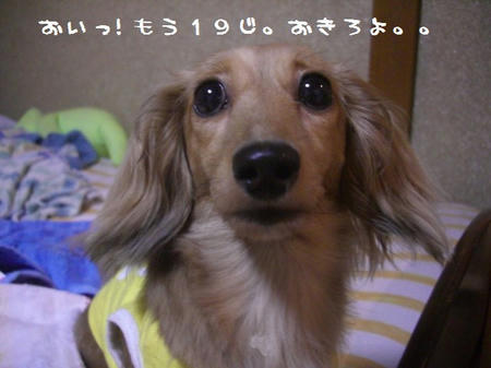 CIMG0582.JPG