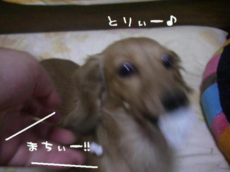 e722fe7d.JPG