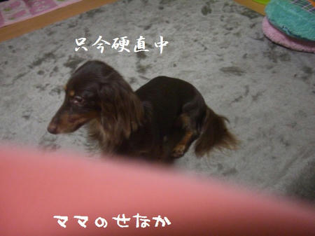 f88586b8.JPG