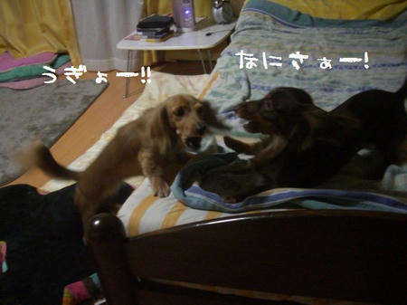 CIMG0865.JPG