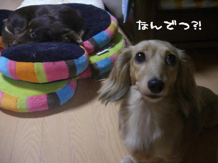 CIMG0866.JPG