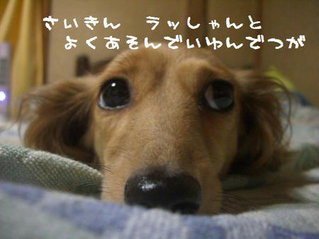 CIMG0867.JPG
