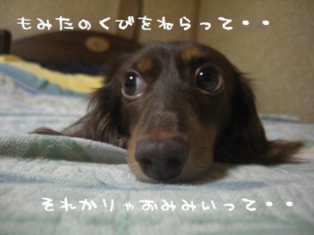 CIMG0870.JPG