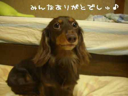 CIMG0926.JPG