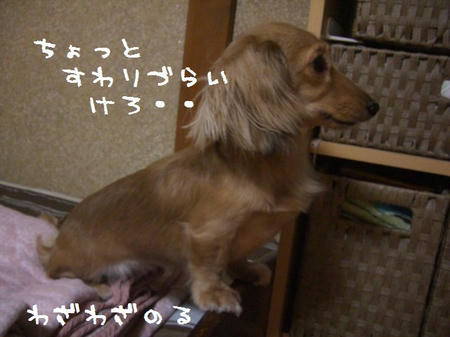 9db39f45.JPG