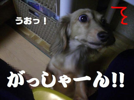 5f8d0b51.JPG