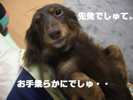 279302c1.JPG