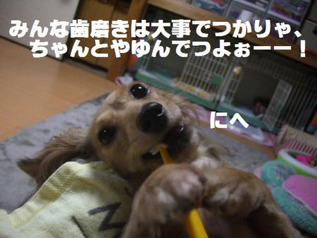 CIMG1196.JPG
