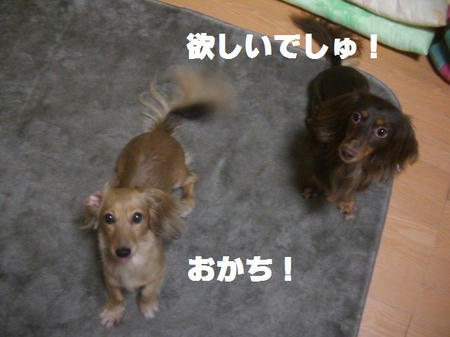 0b7b5963.JPG