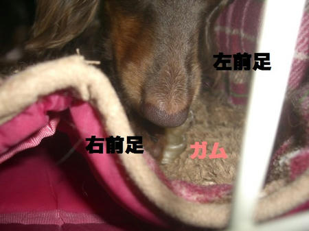 CIMG1269.JPG