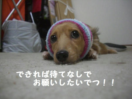 e2c7833e.JPG