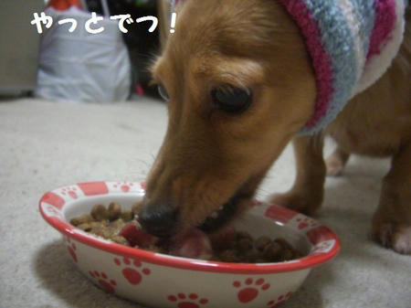 562d0f8e.JPG