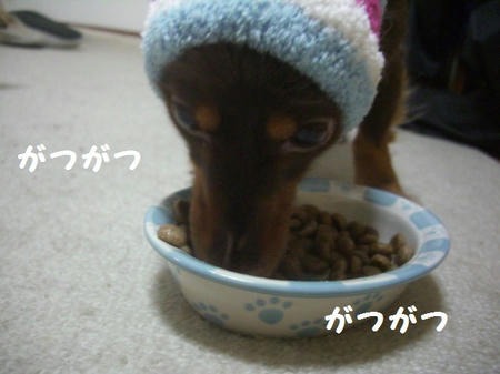 19006526.JPG
