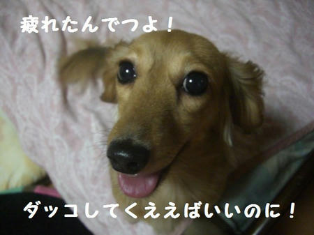 c83c362a.JPG