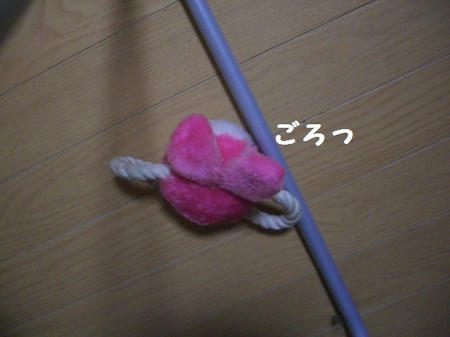 CIMG1409.JPG