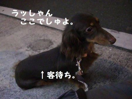 97fb9a84.JPG