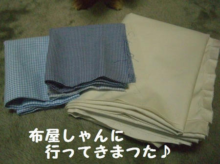 c2c4a85b.JPG