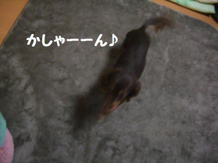926775a6.JPG