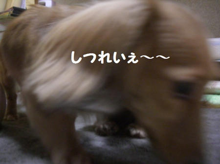 b79b9417.JPG