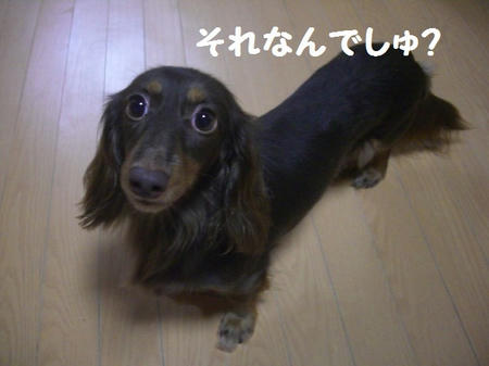 dc3364ff.JPG