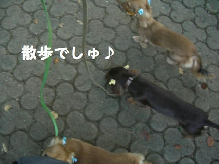045f36c0.JPG
