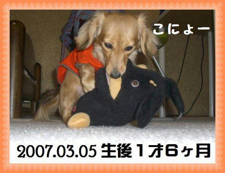 be0f46c7.JPG