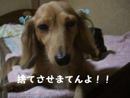 7f36ed30.JPG