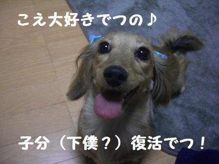 CIMG2404.JPG