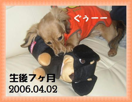 021884fb.jpg