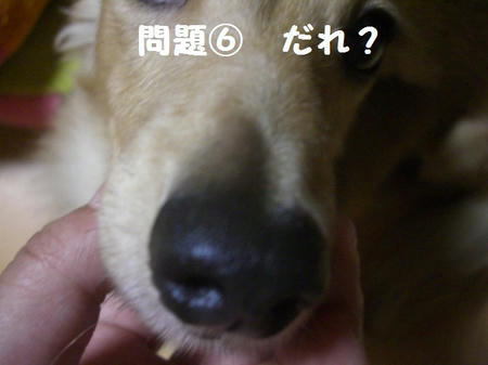 48d9a68c.JPG