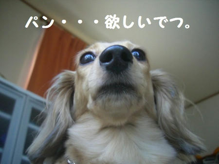 bbcb9cfa.JPG
