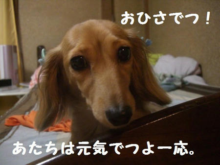 8f47bed6.JPG