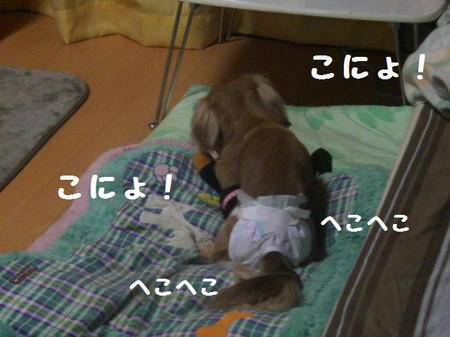 CIMG2741.JPG
