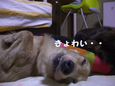 CIMG9670.JPG