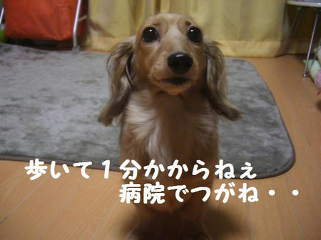a0649c36.JPG