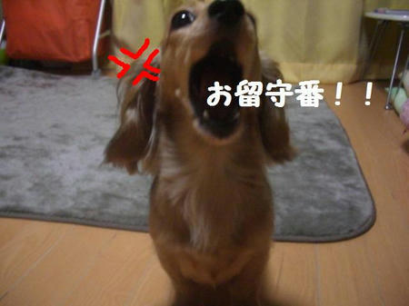 82f81c61.JPG