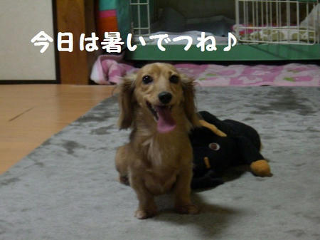 841bd98a.JPG