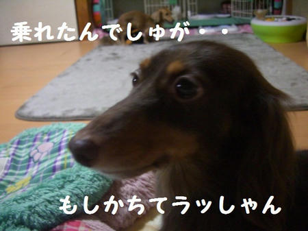 d6d5a6e2.JPG