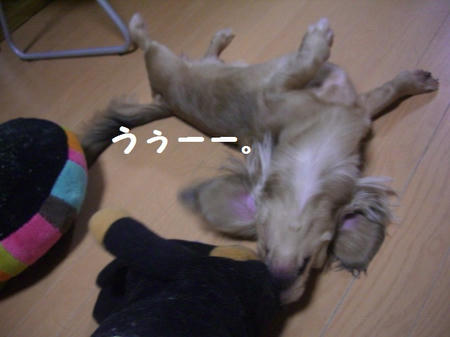 065df891.JPG