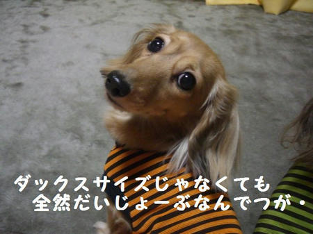 b8f3e553.JPG