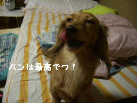 CIMG3675.JPG