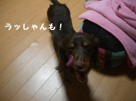 18f8e507.JPG