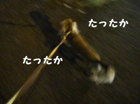 CIMG3740.JPG