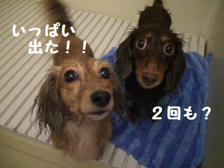 c53f07c1.JPG