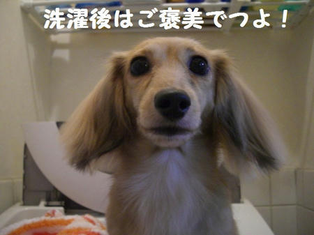 468a7d6f.JPG