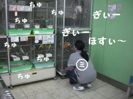 CIMG3673.JPG